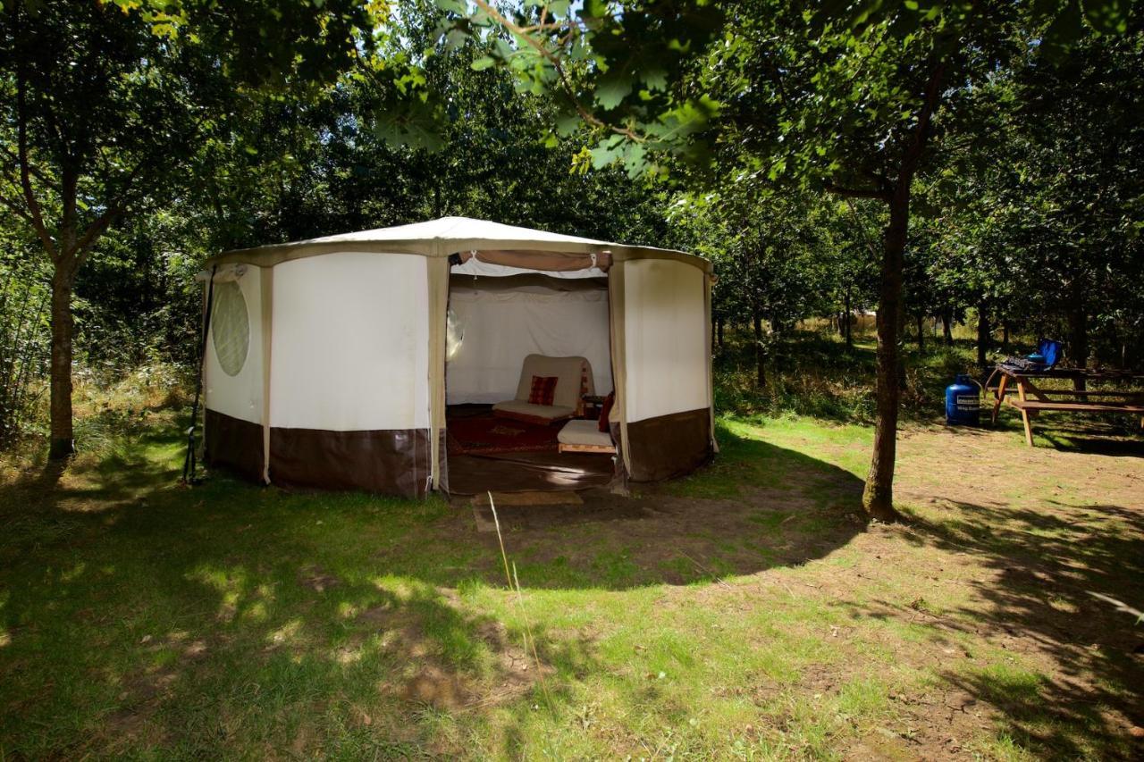 Dgg Woodland Escape Hotel South Barrow Luaran gambar