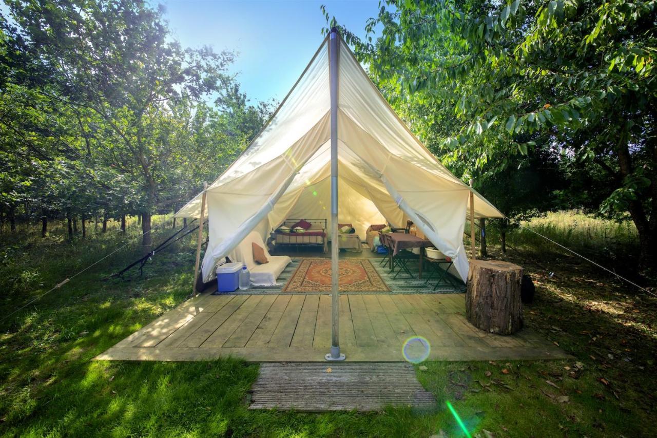 Dgg Woodland Escape Hotel South Barrow Luaran gambar