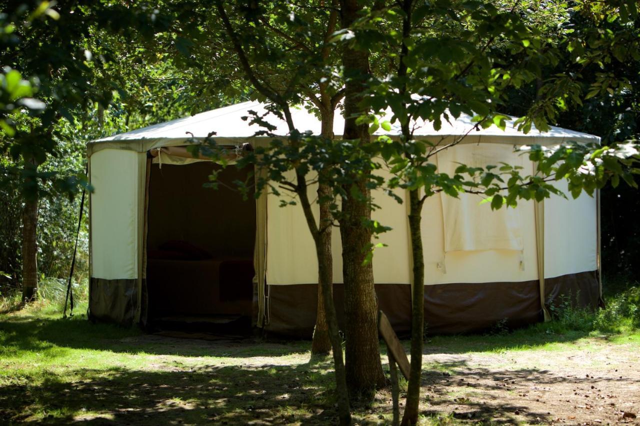 Dgg Woodland Escape Hotel South Barrow Luaran gambar