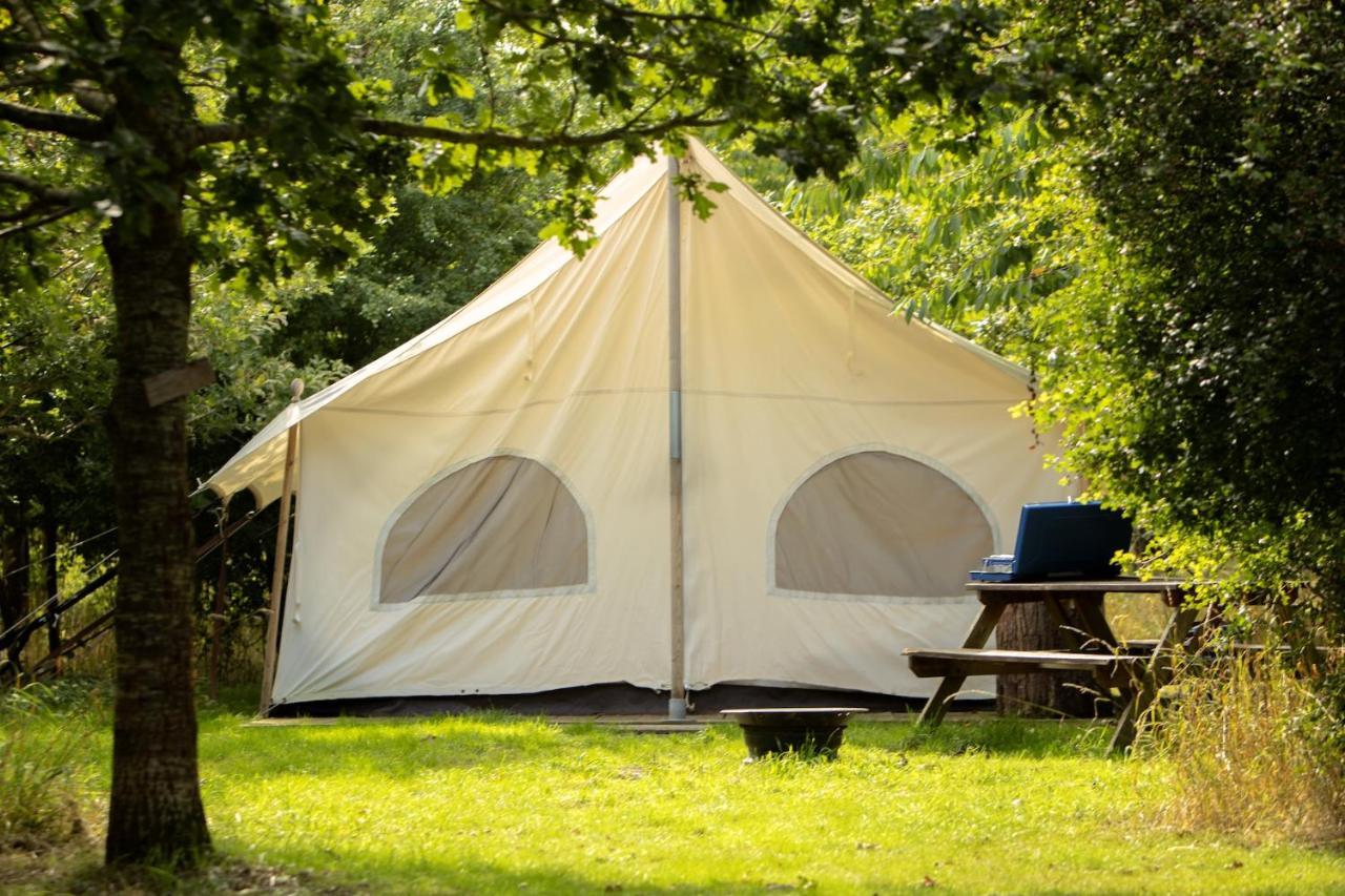 Dgg Woodland Escape Hotel South Barrow Luaran gambar