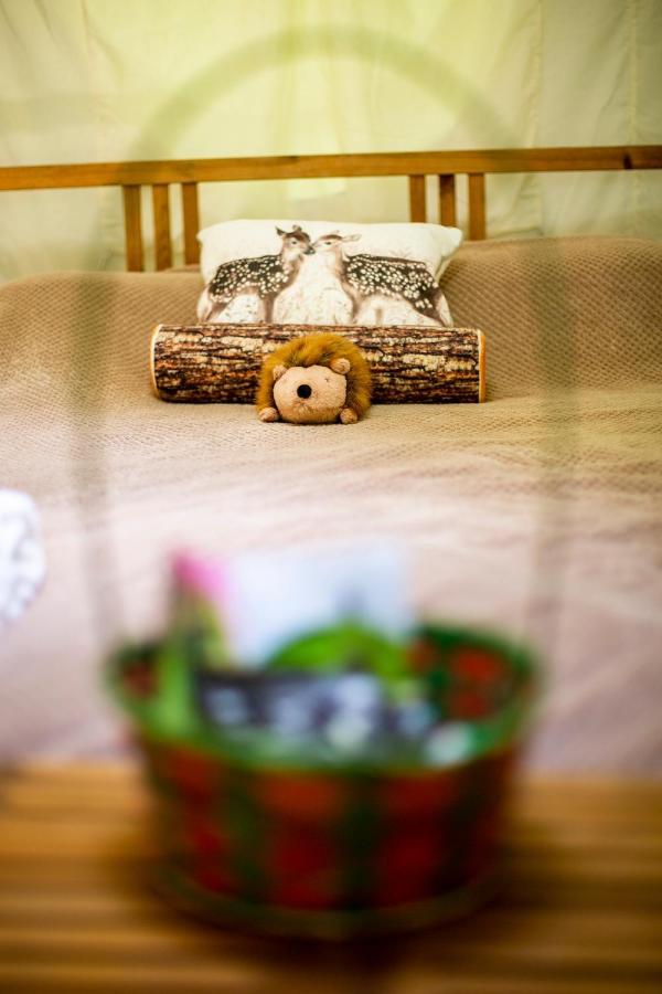 Dgg Woodland Escape Hotel South Barrow Luaran gambar