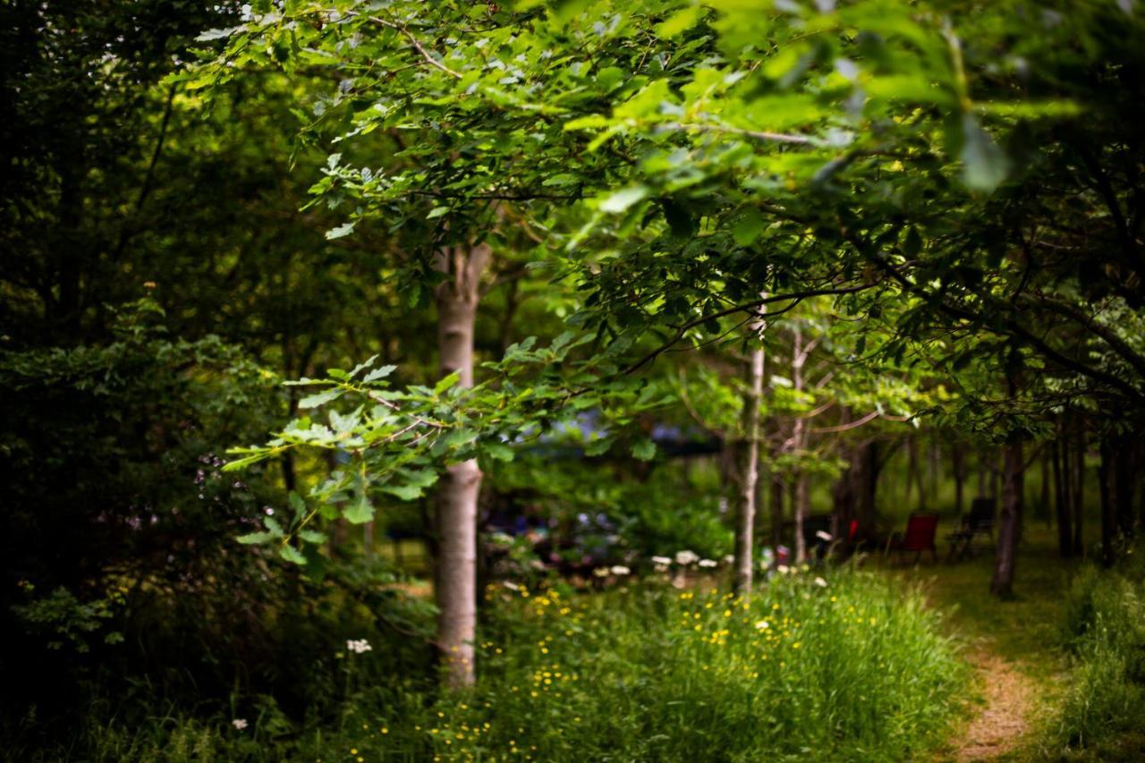Dgg Woodland Escape Hotel South Barrow Luaran gambar