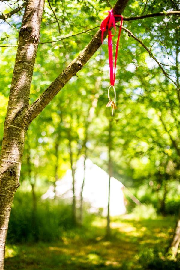 Dgg Woodland Escape Hotel South Barrow Luaran gambar