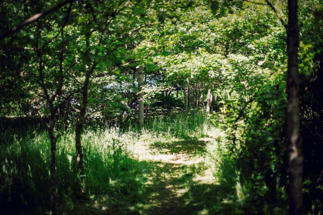 Dgg Woodland Escape Hotel South Barrow Luaran gambar