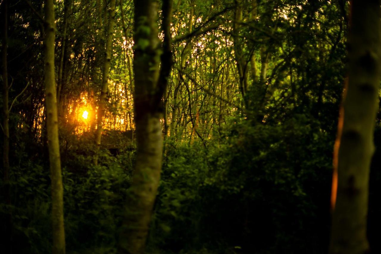 Dgg Woodland Escape Hotel South Barrow Luaran gambar