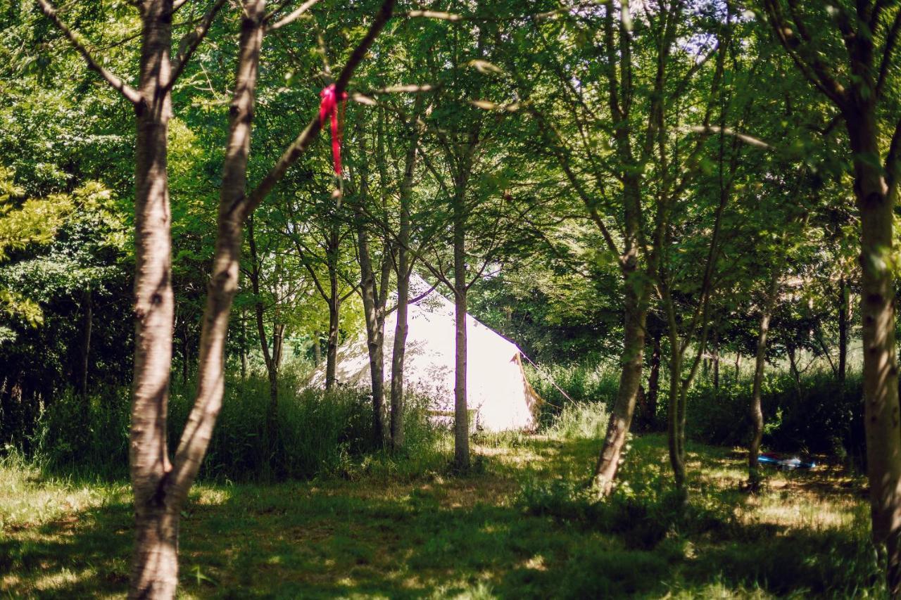 Dgg Woodland Escape Hotel South Barrow Luaran gambar