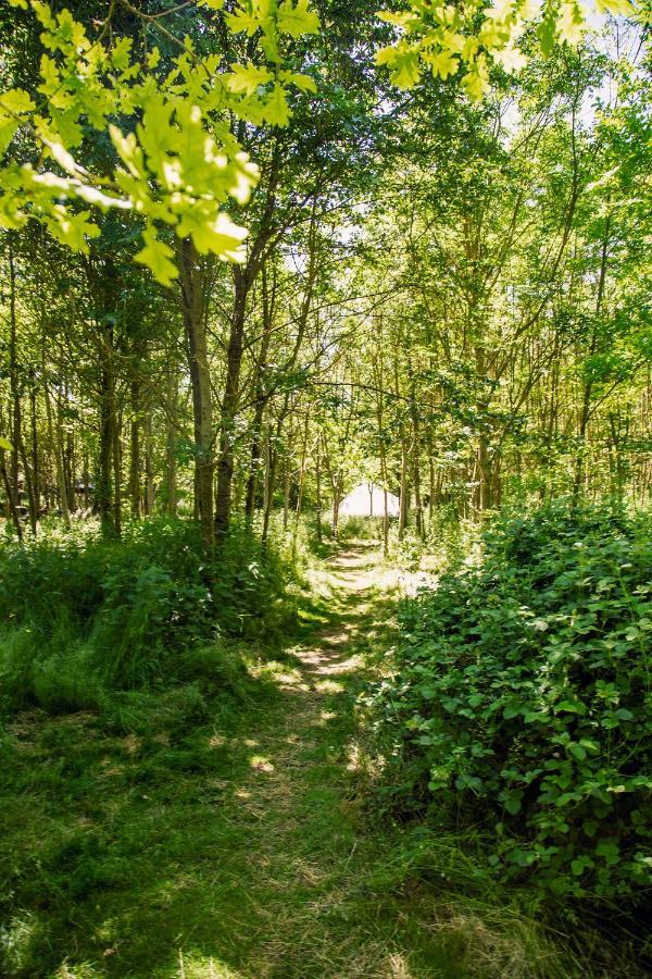 Dgg Woodland Escape Hotel South Barrow Luaran gambar