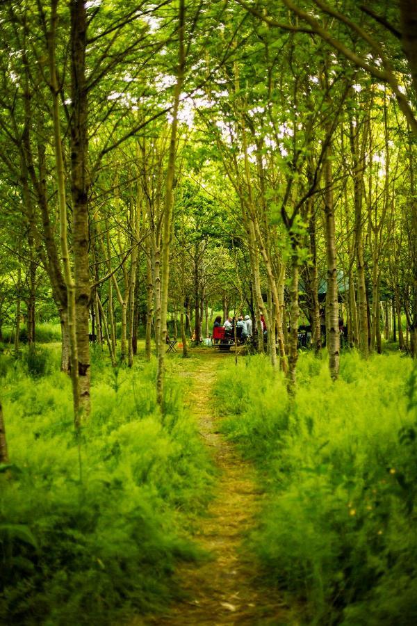 Dgg Woodland Escape Hotel South Barrow Luaran gambar